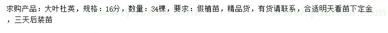 求購16公分大葉杜英