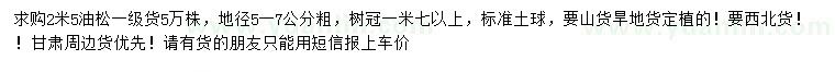求購(gòu)2.5米油松
