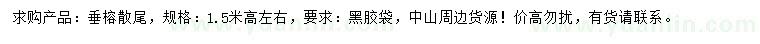 求購高1.5米左右垂榕