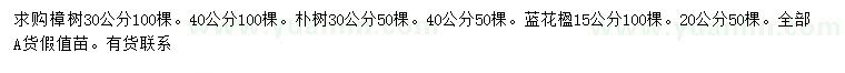 求購(gòu)樟樹、樸樹、藍(lán)花楹