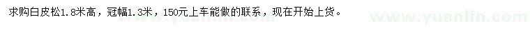 求購高1.8米白皮松
