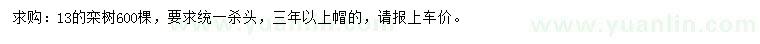 求購13公分欒樹