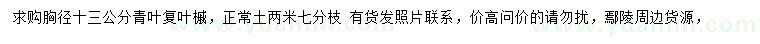 求購胸徑13公分青葉復葉槭