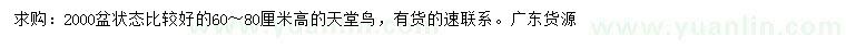 求購(gòu)高60-80公分天堂鳥(niǎo)
