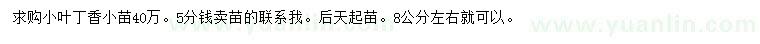 求購8公分左右小葉丁香小苗