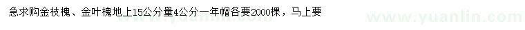 求購4公分金枝槐、金葉槐