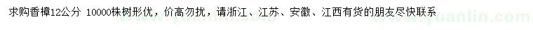 求購12公分香樟