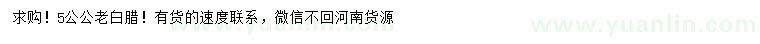 求購5公公老白蠟