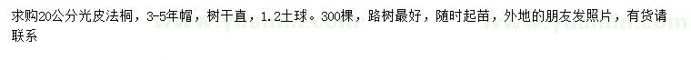求購20公分法桐
