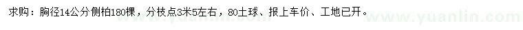 求購胸徑14公分側柏
