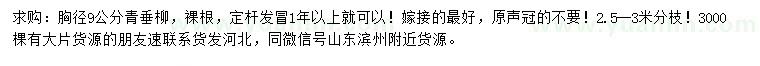 求購胸徑9公分青垂柳
