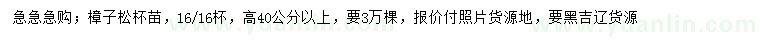 求購(gòu)40公分以上高樟子松