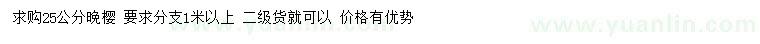 求購25公分晚櫻