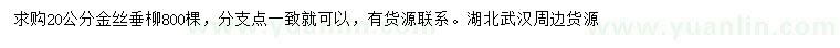 求購20公分金絲垂柳