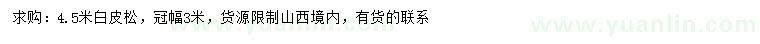 求購4.5米白皮松