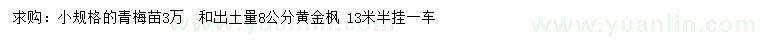 求購青梅苗、出土量8公分黃金楓