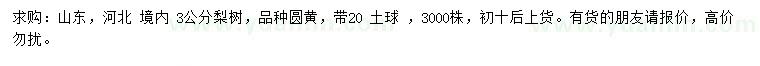 求購3公分梨樹