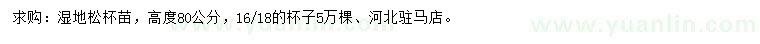 求購高80公分濕地松