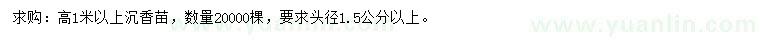 求購(gòu)高1米以上沉香苗