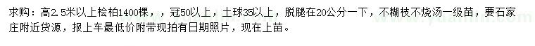 求購(gòu)高2.5米以上檜柏