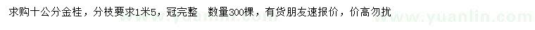 求購10公分金桂
