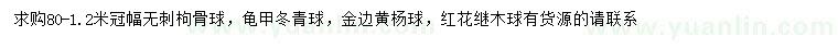 求購(gòu)無(wú)刺枸骨球、龜甲冬青球、金邊黃楊球等