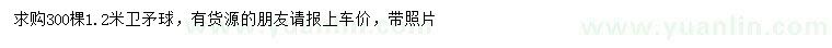 求購1.2米衛(wèi)矛球