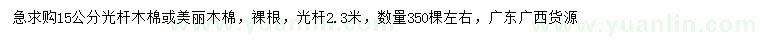 求購(gòu)15公分光桿木棉、美麗木棉