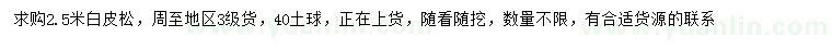 求購(gòu)2.5米白皮松