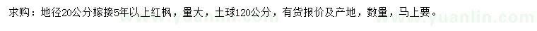 求購地徑20公分嫁接紅楓