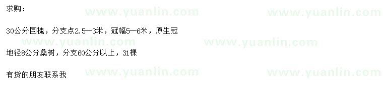 求購(gòu)30公分國(guó)槐、地徑8公分桑樹(shù)