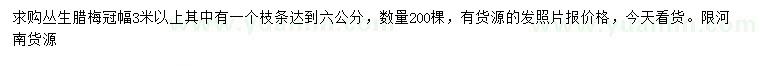 求購(gòu)冠幅3米以上叢生臘梅