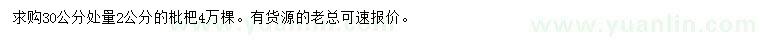 求購30公分處量2公分枇杷