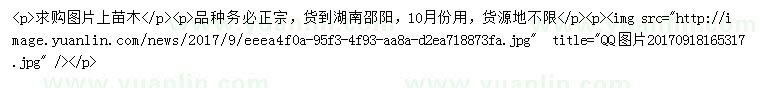 求購珙桐、柏樂樹、銀杉等