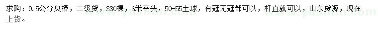 求購9.5公分臭椿