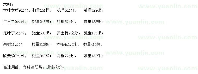 求購大葉女貞、楓香、廣玉蘭等