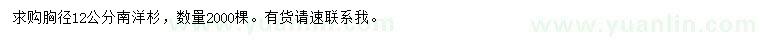 求購(gòu)胸徑12公分南洋杉