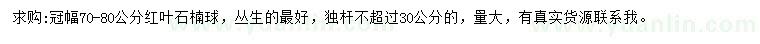 求購冠幅70-80公分紅葉石楠球