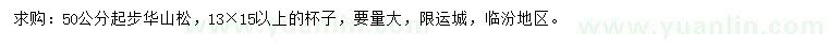 求購50公分以上華山松