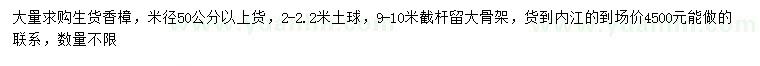 求購米徑50公分以上香樟