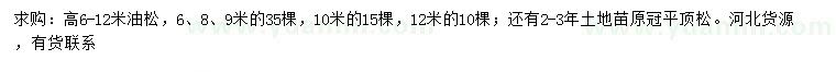 求購高6-12米油松、原冠平頂松
