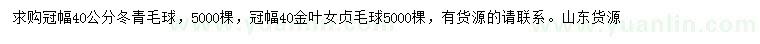 求購冠幅40公分冬青毛球、金葉女貞毛球
