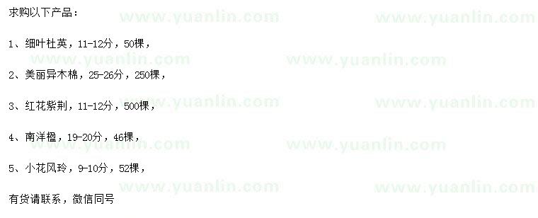 求購細葉杜英、美麗異木棉、紅花紫荊等