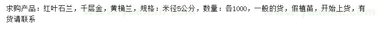 求購紅葉石蘭、千層金、黃桷蘭