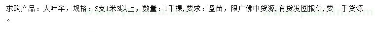 求購3分枝大葉傘