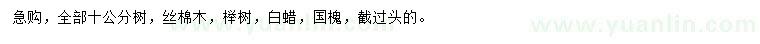 求購絲棉木、櫸樹、白蠟等