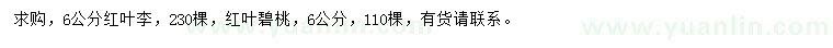 求購6公分紅葉李、紅葉碧桃