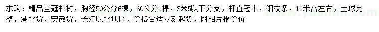 求購(gòu)胸徑50、60公分樸樹(shù)