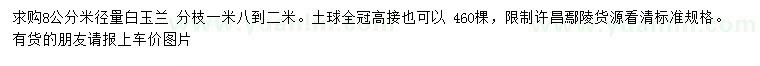 求購米徑8公分白玉蘭