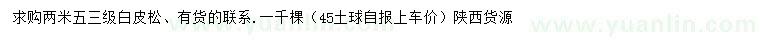 求購2.5米白皮松